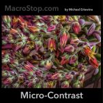 Macro and Close-Up Images